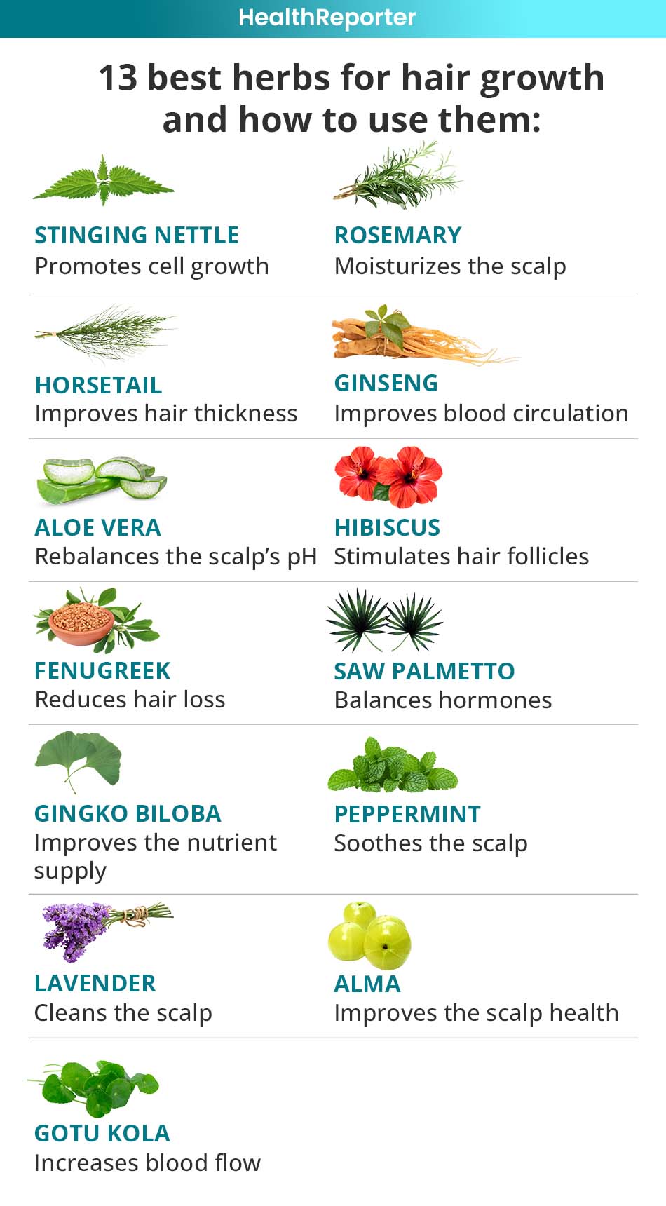 13 Best Herbs For Hair Growth How To Use Them Health Reporter