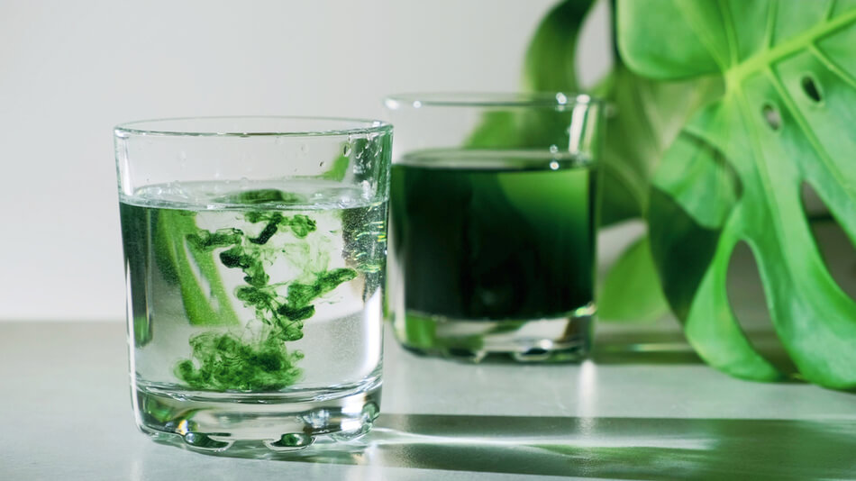 Chlorophyll for weight loss