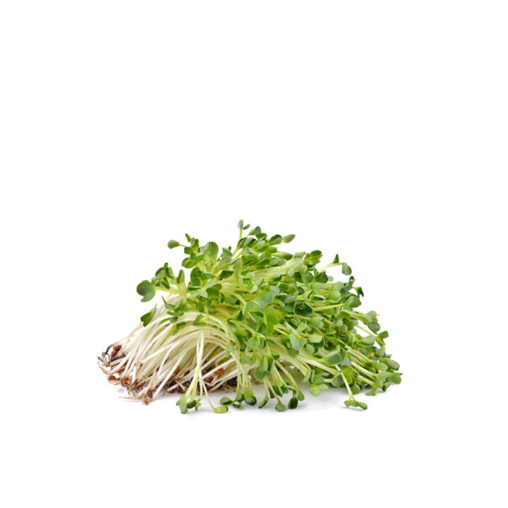 Are Alfalfa sprouts keto friendly