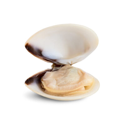 Are clams keto-friendly