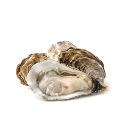 Are oysters keto