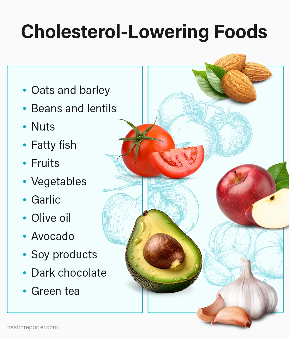 Cholesterol 101: Science-Based Insights | Health Reporter