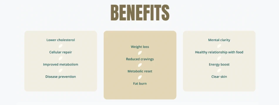 How Do Burnbox Supplements Work 5 Main Benefits