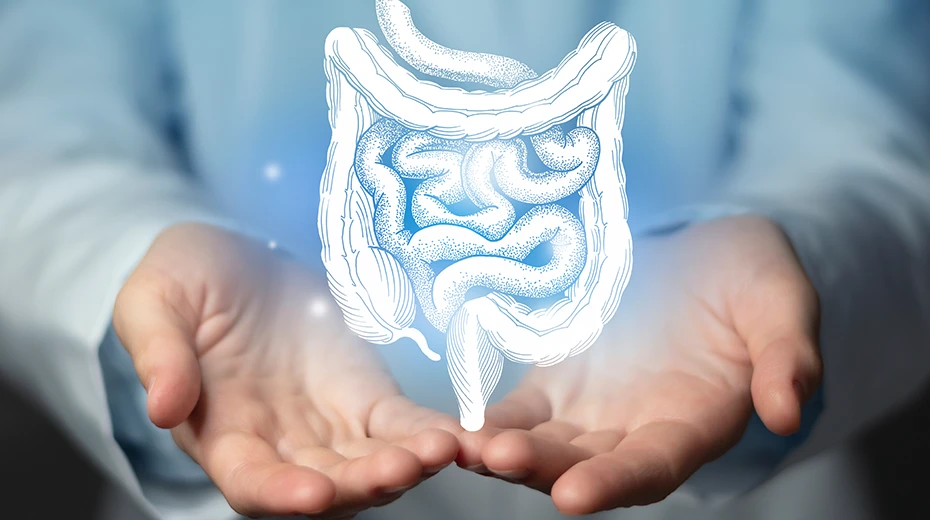 How Long Do Probiotics Stay in Your System What the Experts Say