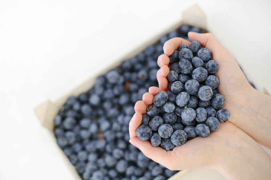 are blueberries good for weight loss