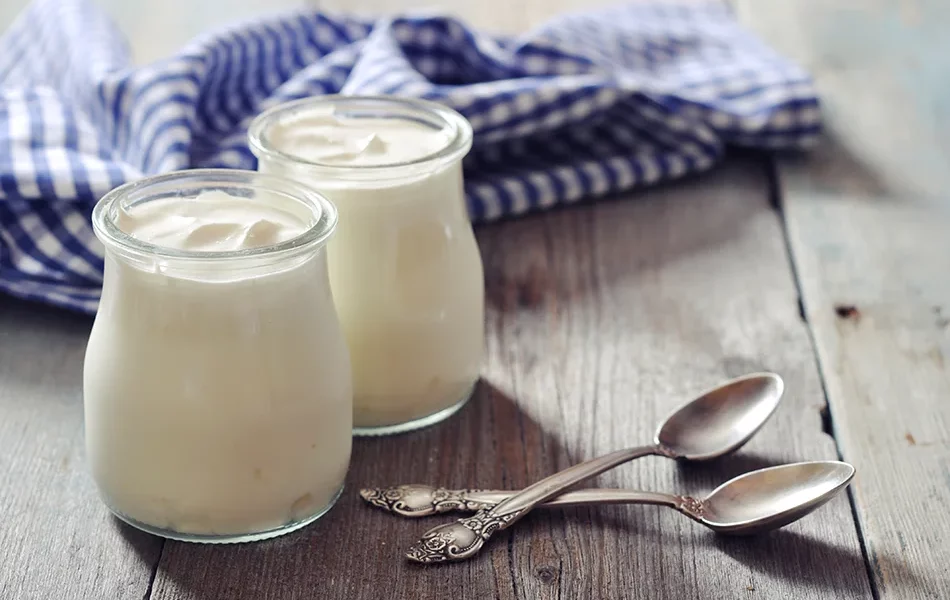 does Greek yogurt have probiotics