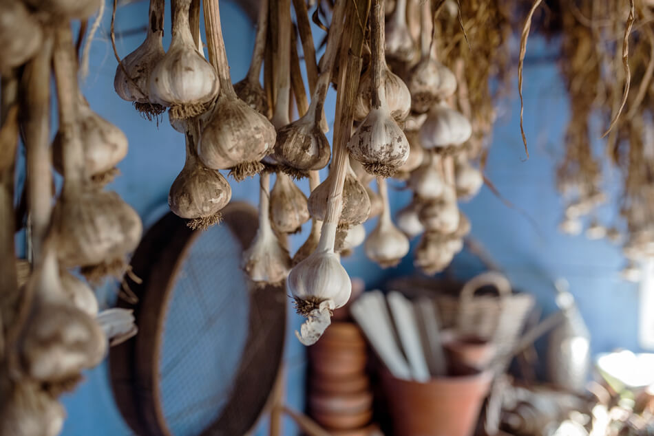 Is garlic good for diabetes