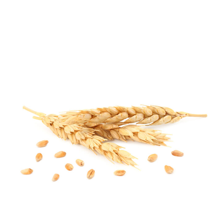 is wheat keto
